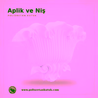 Aplik ve Niş