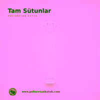 Tam Sütunlar